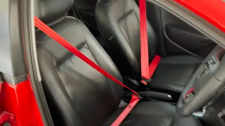 [EXPLAINED] Can You Change Color of Seat Belt?